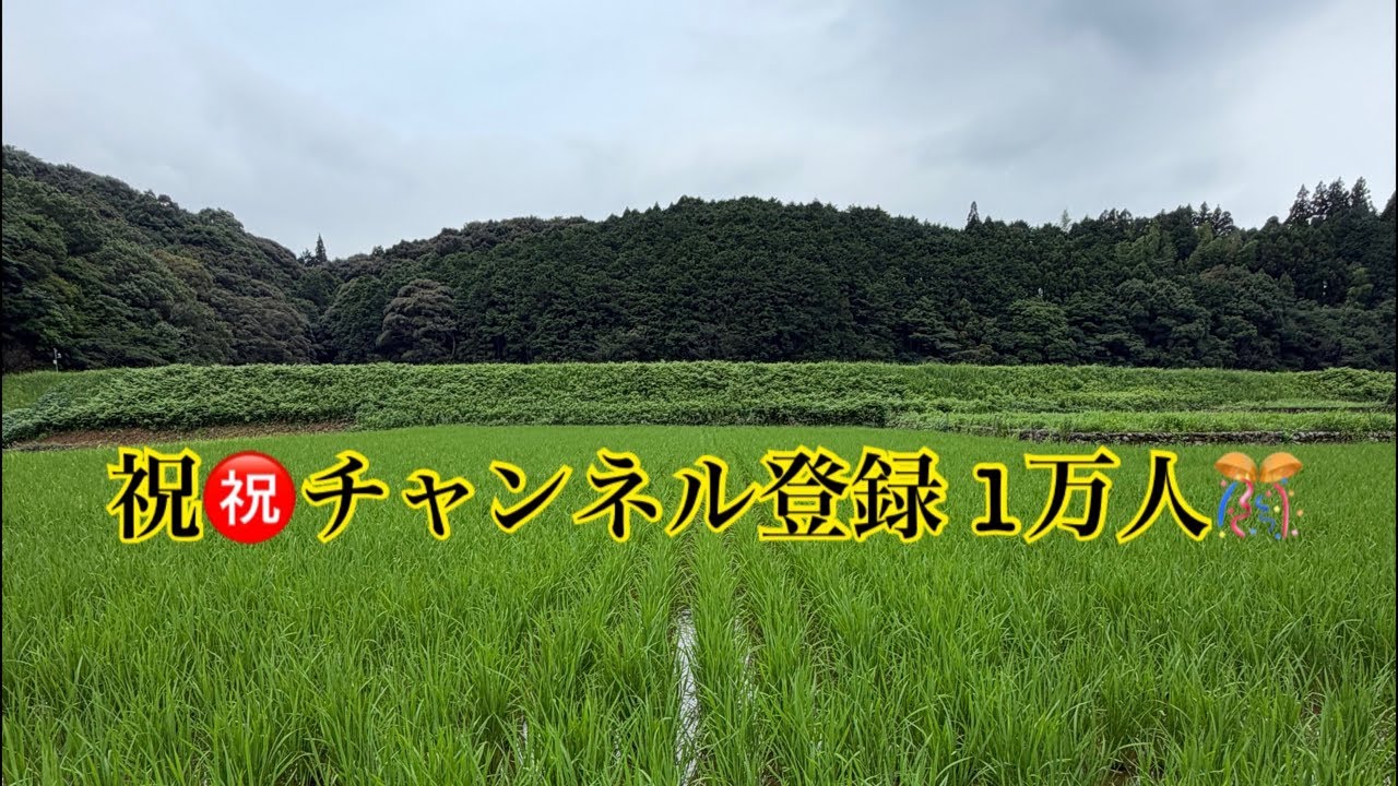 うきは市の梨農家さんに芸能人が支援⁉️どう思う🍐