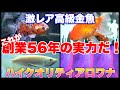 【ショップ訪問】ドラえもんより古い！関西有数の老舗！トロピカルフィッシュ佐野　アロワナ　高級激レア金魚　AQUARIUM　熱帯魚