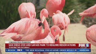 San Diego Zoo, Safari Park To Require Reservations For Entry