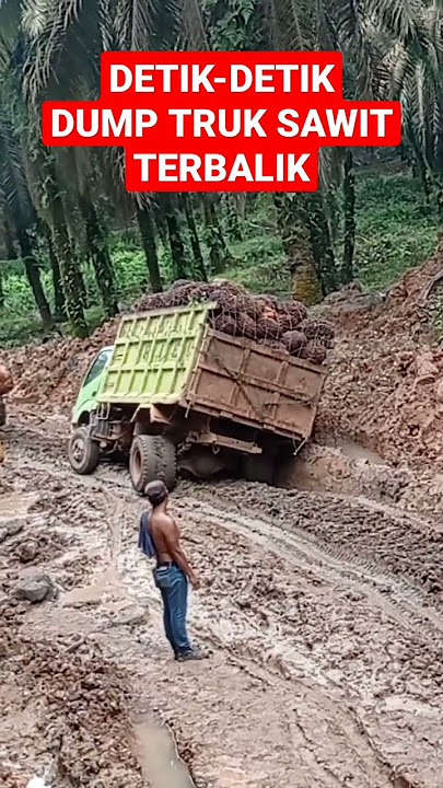DETIK-DETIK DUMP TRUK SAWIT TERBALIK#truck#palm#shorts
