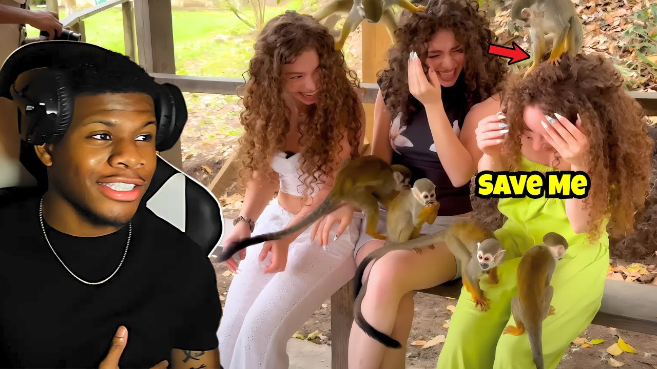 3 SISTERS Get attacked by MONKEYS!