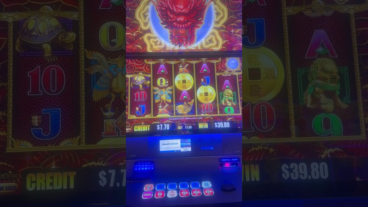 5 Dragons Bonus Video🐉🐦‍🔥🦚 