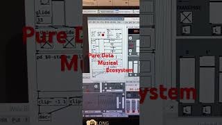 Famous Pure Data Musical Ecosystem #beatmaking #puredata #electronicmusic #synth #synth #producer #music Net Worth