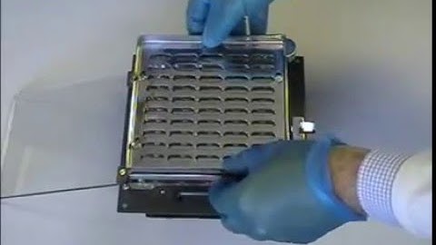 Adelphi Profill Capsule Filling Machine.mpg