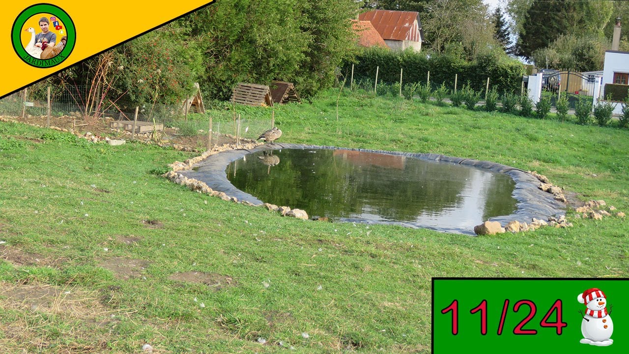 COMMENT J'AI FABRIQUÉ MES BASSINS !? - YouTube