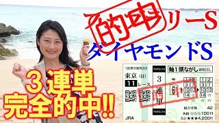 3連単66.2倍的中！！【競馬】フェブラリーS 2019 ダイヤモンドS 予想 ヨーコヨソー