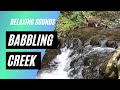 Relaxing Babbling Creek Sounds | Nature Video for Relaxation, Sleep, insomnia