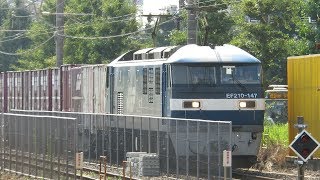 JR貨物・梅雨明けのEF210形（Japan Freight Railway）