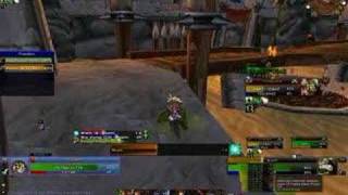 40 Minute Hunter/Druid vs. Warrior/Druid Video