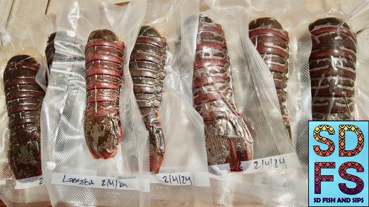 LIMITS OF BUGS AGAIN SOLO SKIFF LOBSTER Fishing San Diego + How to