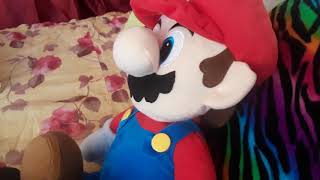 Yoshi committed tax fraud