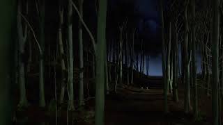 Unreal Engine 5 - Batman 1989 Batmobile forest scene, v.2