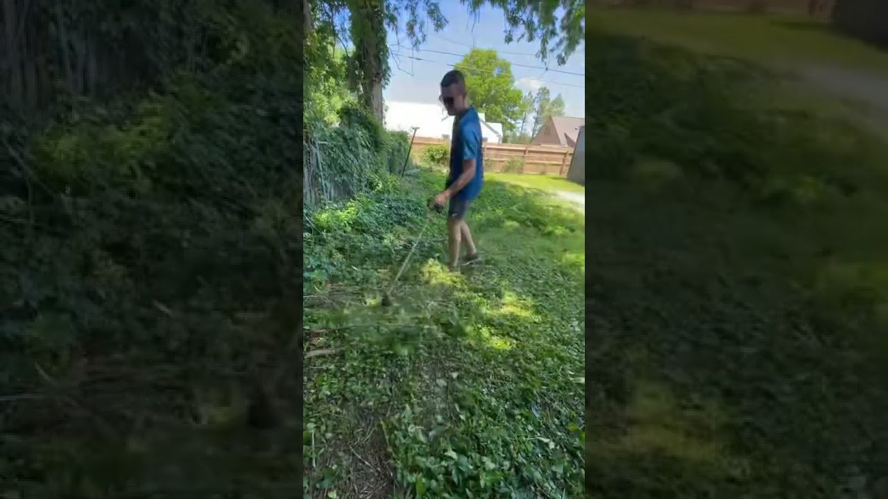 Help! What can we do to prevent these from taking over? 