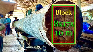 The best giant sawmill of all time! Slope the 10 meter long wood with beauty