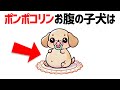 必見！【犬の雑学11選】子犬だけに見られる不思議で可愛い行動