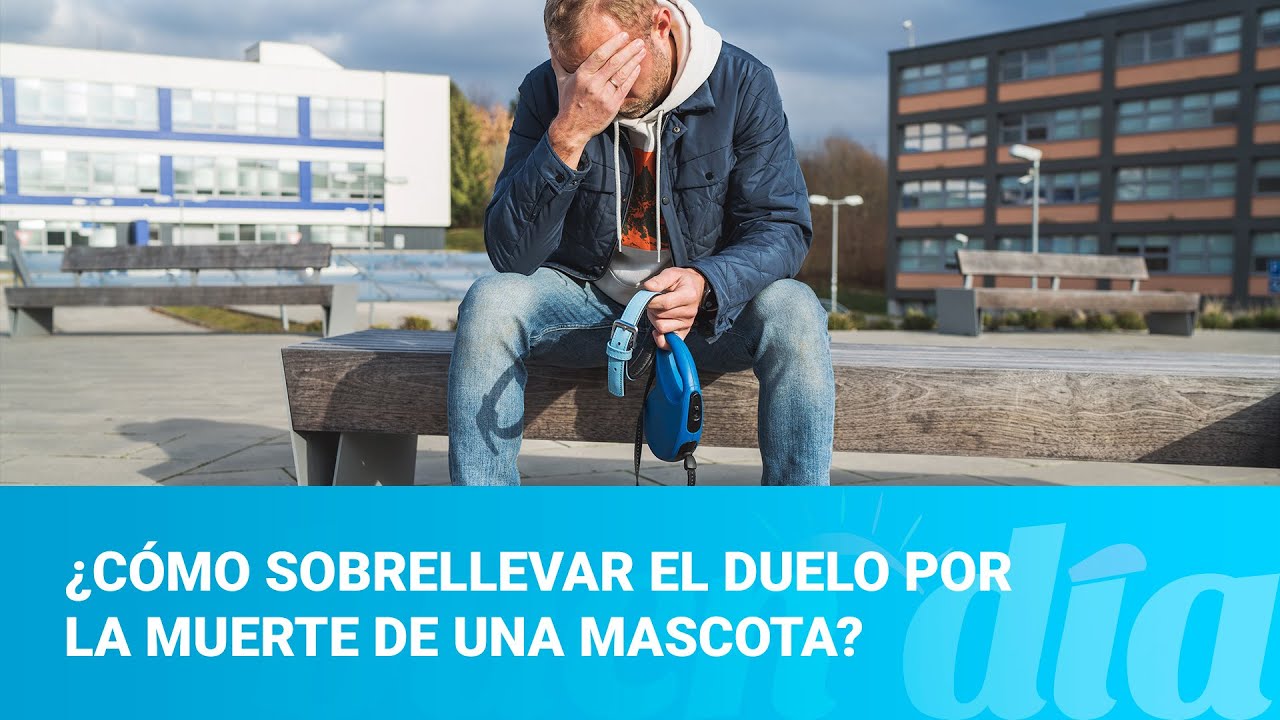 ¿Cómo sobrellevar el duelo por la muerte de una mascota?