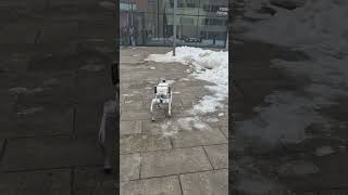Famous Autonomous Campus Navigation  Profile