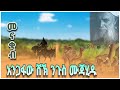 ያሪጃለላሂ አጊሱና ቢላሂ ቢላሂ የታላቁ ሸኽ ንጉስ ሙጃሂዱ አባ ሙሀመድ ኑር ታሪክ በሚያምር እንጉርጉሮ መንዙማ