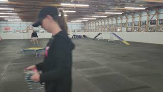 Malcolm First Novice Standard Run. Q And 2 Nd Place