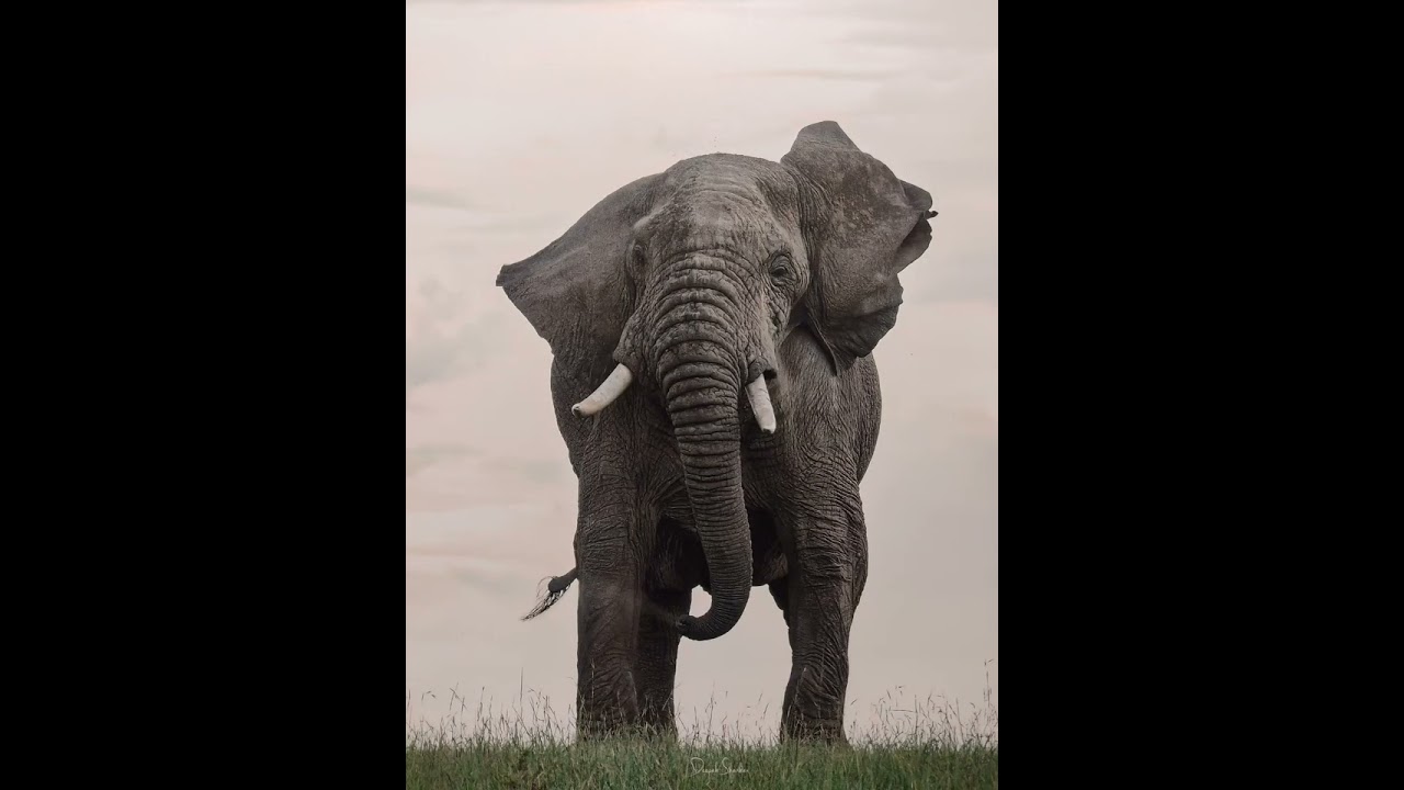 Art works exhibition @ Chitrakala parishat bangalore