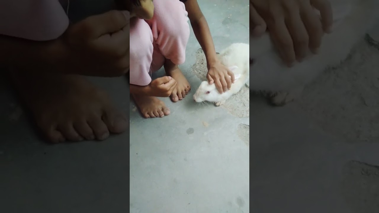 dear rabbit🥰♥️♥️♥️♥️