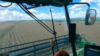 Colonao - Adson \u0026 Alana