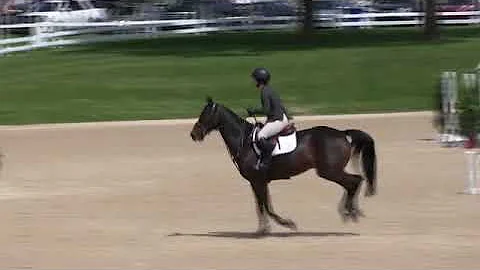 Video of FLY AWAY W ridden by BETTA WHITBECK from ...