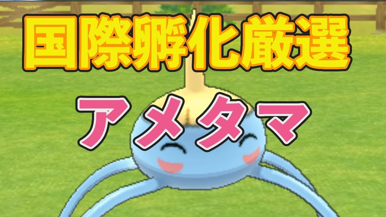 気ままに国際孵化厳選 アメタマ Youtube