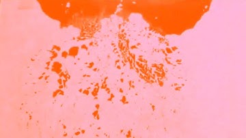 Flow Visualization Experiment
