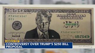 Controversy over Trump's $250 bill proposal
