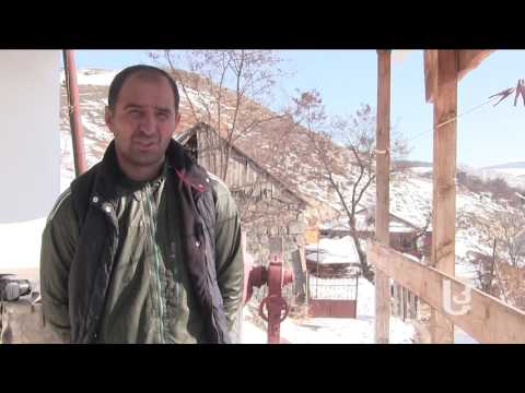 ჭობარეთში ტენილი ყველის ევროპაში გასატანად ემზადებიან