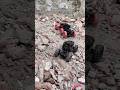 Rock monster drive off road climbing #adventure #rockclimbing #car #viral #rc #monster