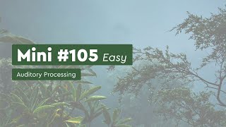 Celebrity Auditory Processing Activity - Mini Packet 105 - Easy Net Worth