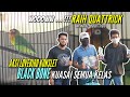 Wooowww Raih Quattrick Aksi Lovebird Konslet Black Bone Kuasai Semua Kelas Mp3 - Mp4 Download