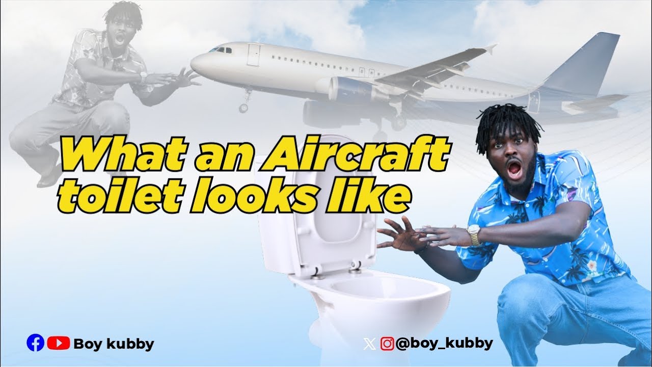 What an Aircraft toilet looks like