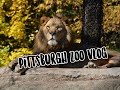 Pittsburgh Zoo Vlog
