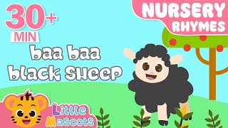 Baa Baa Black Sheep + Baby Shark + more Little Mascots Nursery Rhymes & Kids Songs