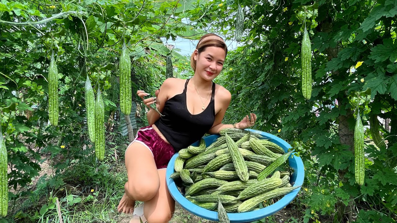 20kilos Amplaya Harvest in 1 hour 😍 Organic Farming No spray || Ganda nang Bunga!