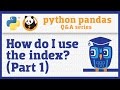 Pandas Index Basics (Part 1) π