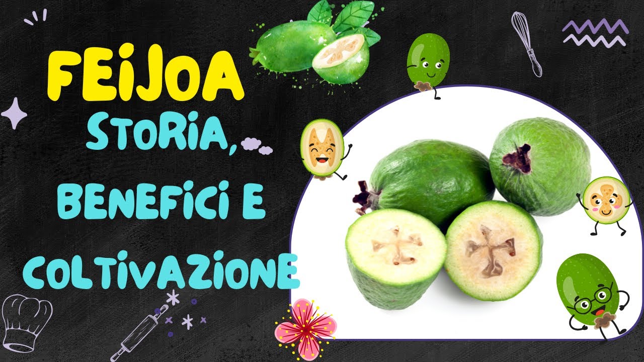 Feijoa: Storia, Benefici e Coltivazione