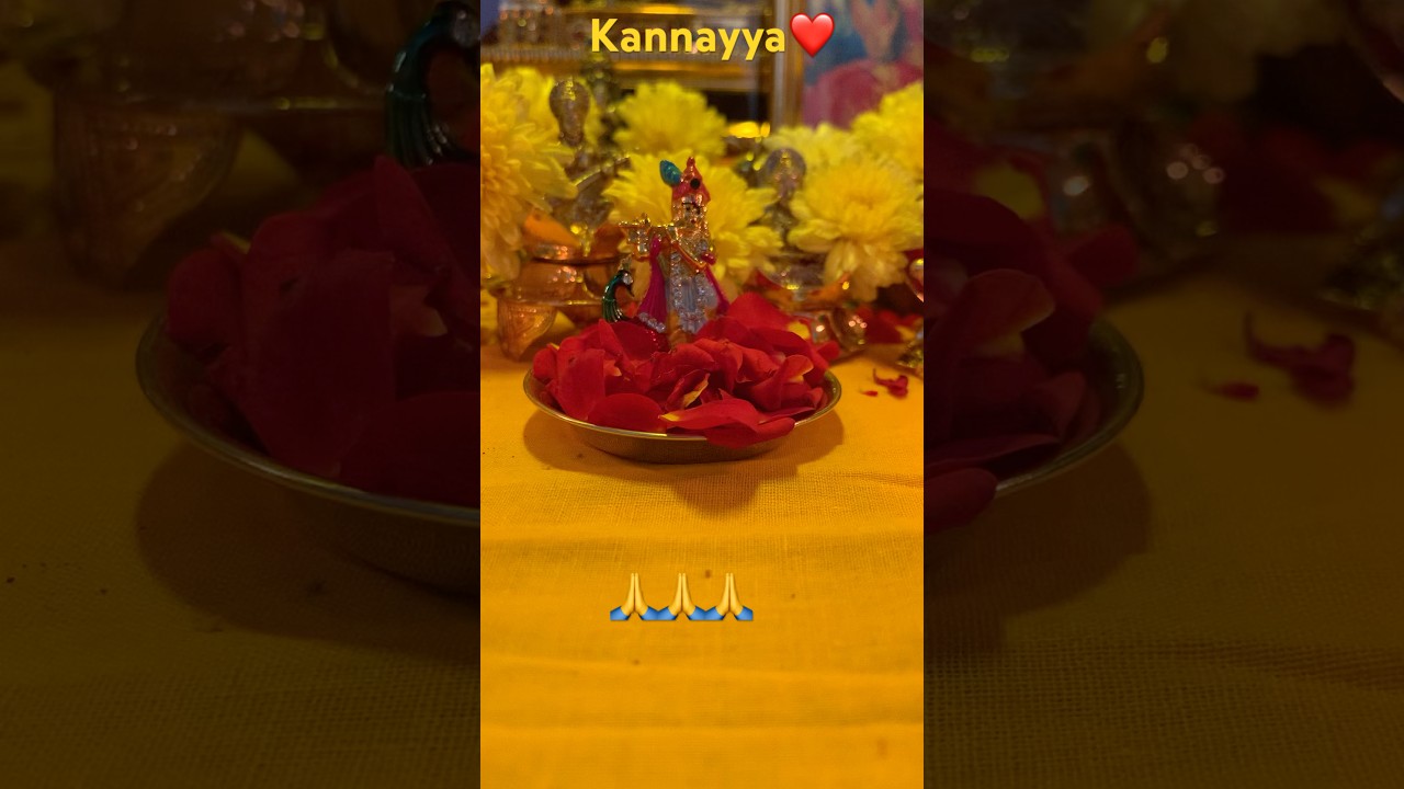 Maa kannayya ❤️🥰🙏friends