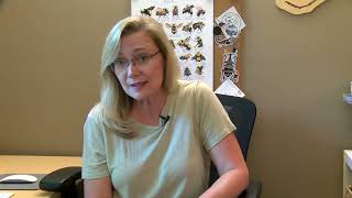 Missoula Butterfly House and Insectarium to open in June, 2023