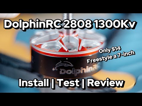 This budget 7-inch motor RIPS! DolphinRC 2808 1300KV