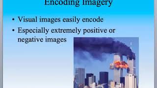 Module 22 Mini Lecture Psychology Course