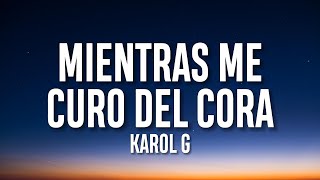 KAROL G - Mientras Me Curo Del Cora (Letra/Lyrics) (Visualizer)
