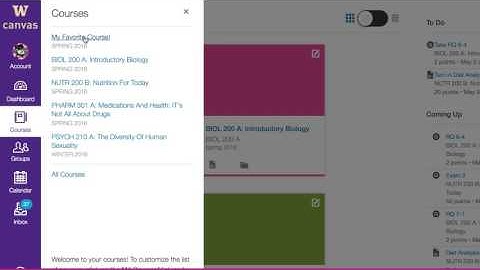 Find Your Canvas Course