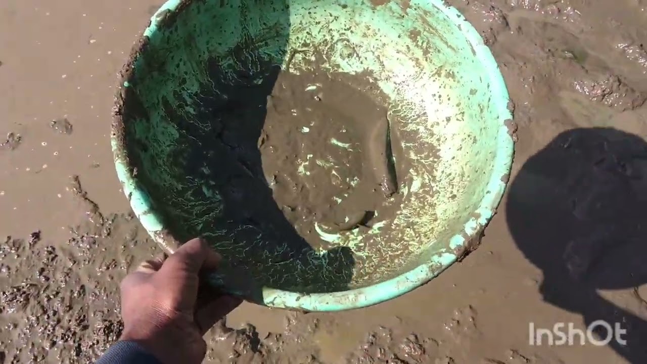 Machhali pakdane Gaya Baba blogger 😀🐠🐟🐠😀