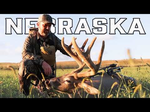 VELVET GIANT On Opening Day 2025!! (Didn't Expect To See This Buck)