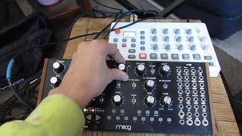Elektron Model: Samples/Moog Mother 32 Jam 2:11:21