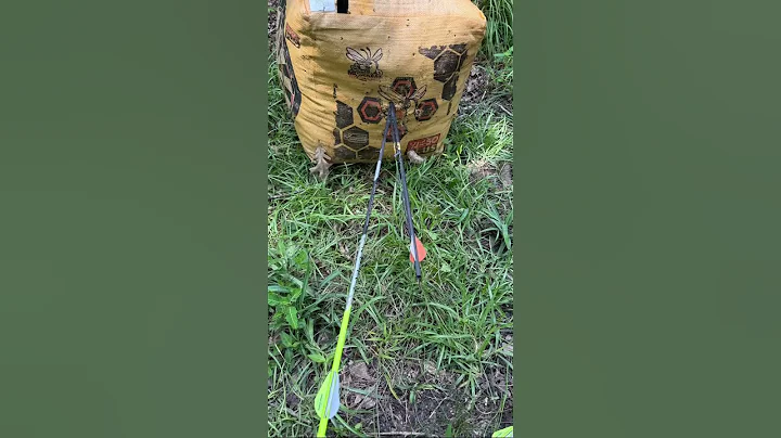 My first time splitting an arrow down the middle, anyone else done this? #outdoor #hunting #archery